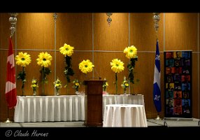 M.00_00_17_01.Image fixe005