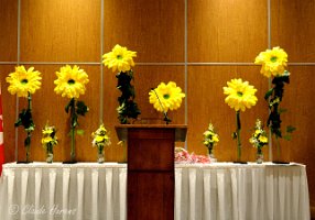 M.00_00_22_25.Image fixe006