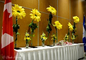 M.00_04_08_16.Image fixe002